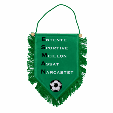 Custom Large Pennant