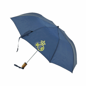 Custom Umbrella